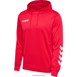 hmlpromo sudadera con capucha de poliéster Hummel 880V841180 unisexo "sudadera"