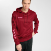 hmlpromo sudadera con capucha de poliéster Hummel 880V841336 hombres "sudadera"