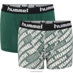 Pack de 2 calzoncillos hmlnolan Hummel 880V845126 niños "Pack de 2 calzoncillos bóxer"