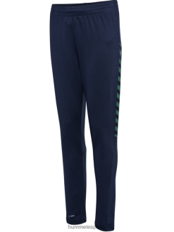 pantalones de entrenamiento hmlstaltic Hummel 880V844963 niños "pantalones tacto suave"
