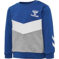 sudadera con capucha Hummel 880V844089 niños "camisa de entrenamiento"