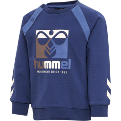 sudadera con capucha Hummel 880V844326 niños "camisa de entrenamiento"