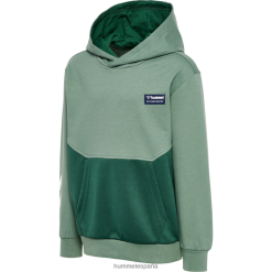 sudadera con capucha Hummel 880V844938 niños "sudadera con capucha color block"