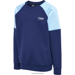 sudadera con capucha Hummel 880V845047 niños "sudadera con bloques de color"