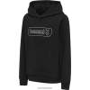 sudadera con capucha Hummel 880V845295 niños "sudadera"