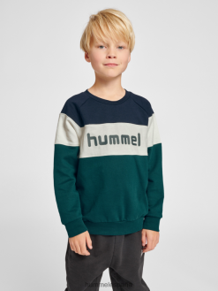 sudadera con capucha Hummel 880V845317 niños "camisa de entrenamiento"