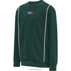 sudadera con capucha Hummel 880V845916 niños "camisa de entrenamiento"