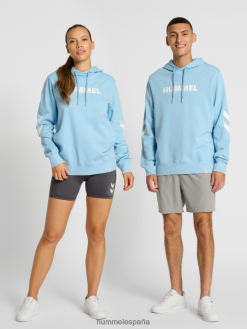 sudadera con capucha y logo hmllegacy Hummel 880V84963 hombres "sudadera"