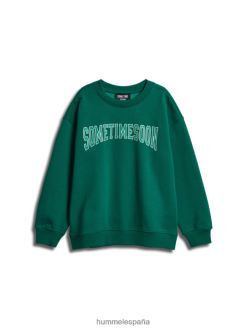 sudadera stswinters Hummel 880V845268 niños "camisa de entrenamiento"